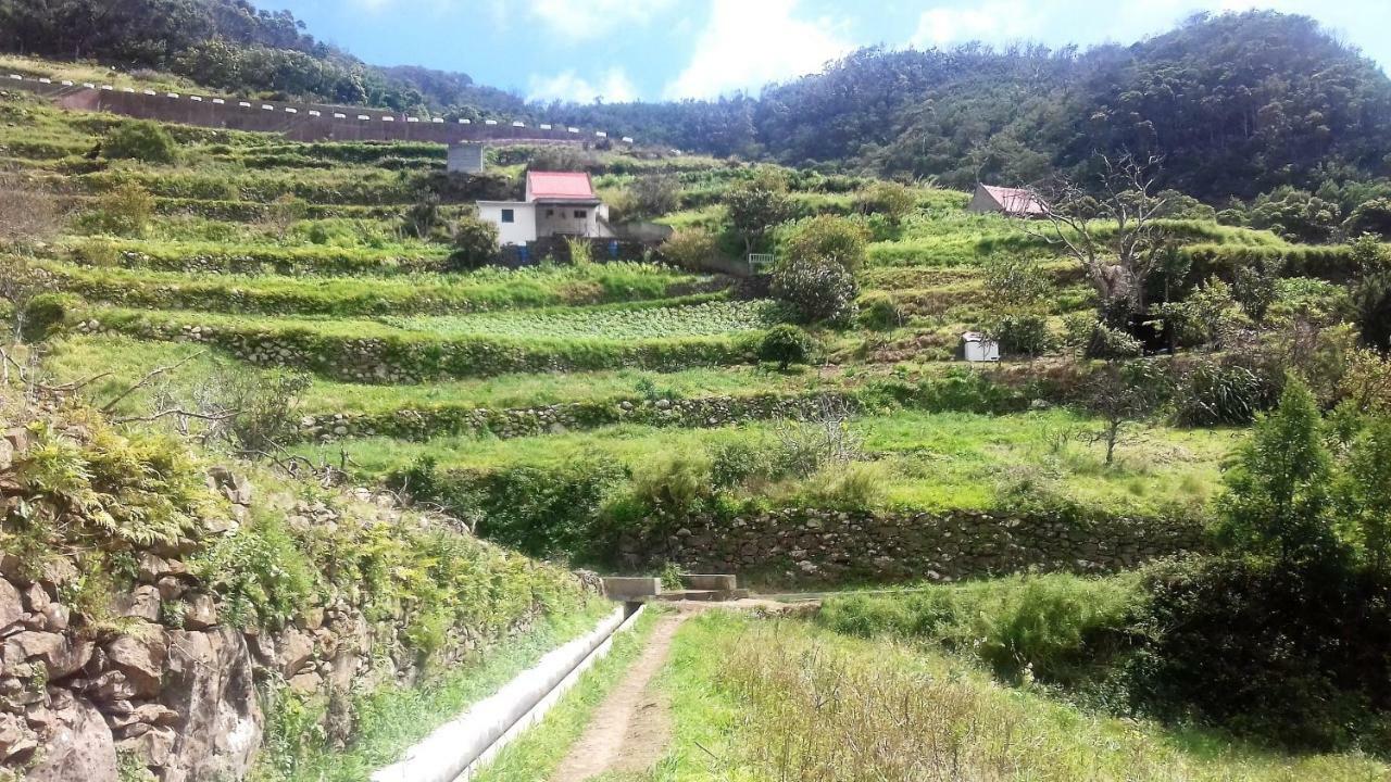 Vivenda Linda Vista Lägenhet Porto Da Cruz Exteriör bild